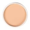 Matt Look Oil Control Waterproof Pan Cake Makeup -02 Light Sweep 15gm