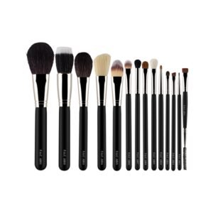PAC Absolute Basics 14 Brushes 14's