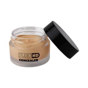 PAC Studio HD Concealer Chopsticks 12 gm